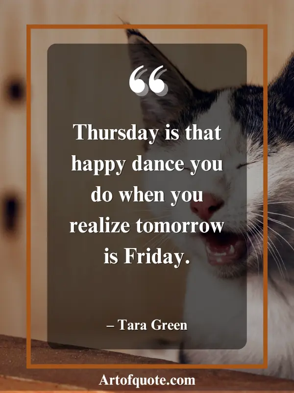 funny quotes to brighten your Thursday