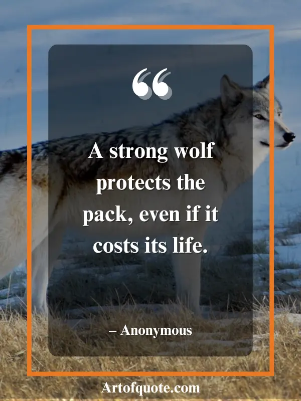 quotes about wolves