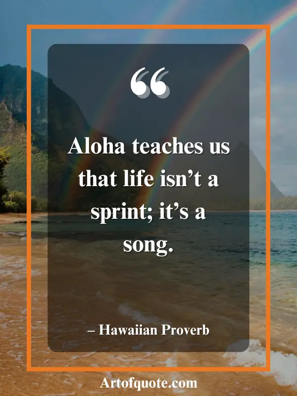 aloha life is a song