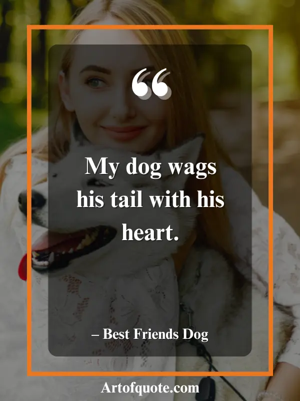 dog wags tail with heart