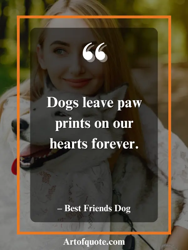 dogs leave paw prints forever