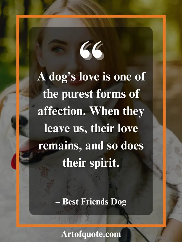 dog's love remains forever