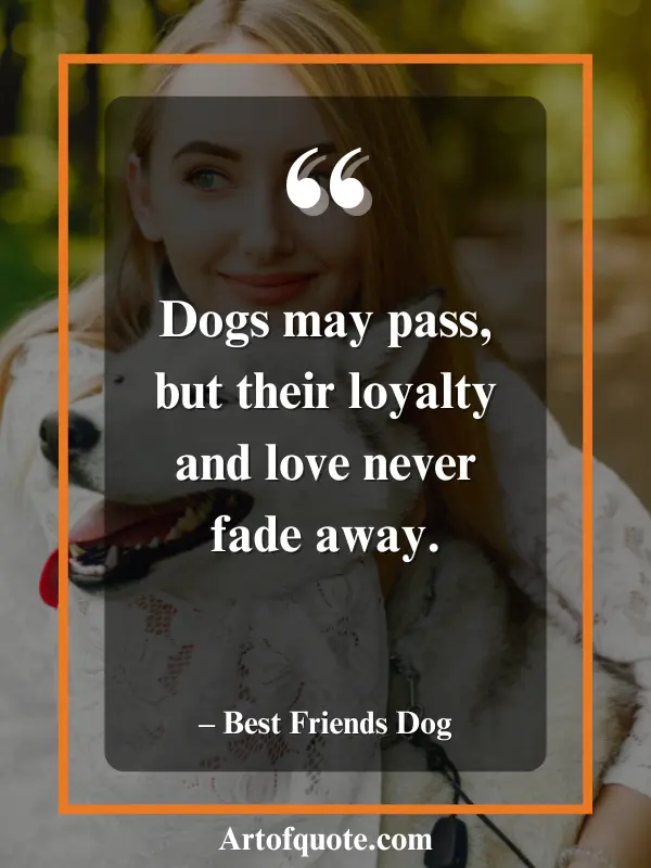 dogs loyalty love never fades