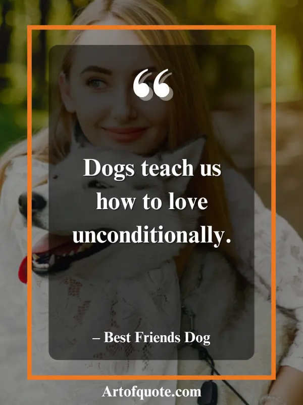 dogs teach unconditional love