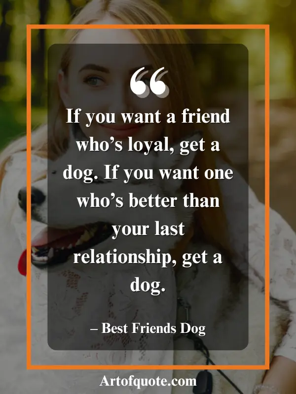 get a dog for loyalty