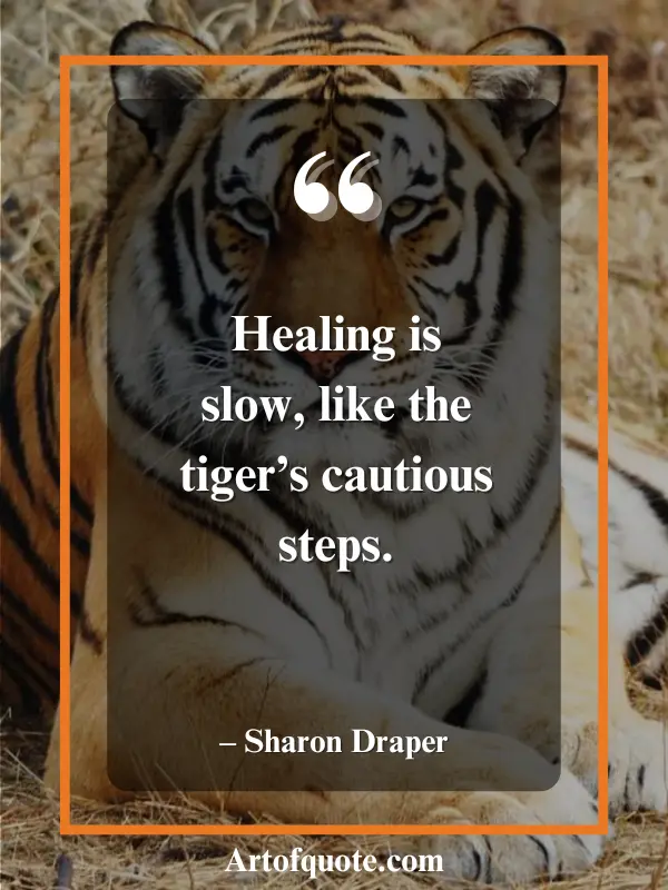 healing like the tiger's steps