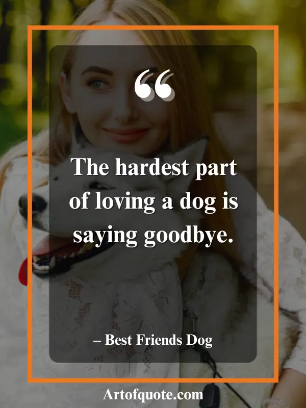 loving a dog saying goodbye