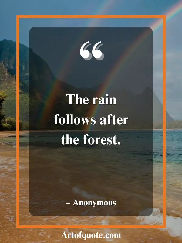 rain follows the forest