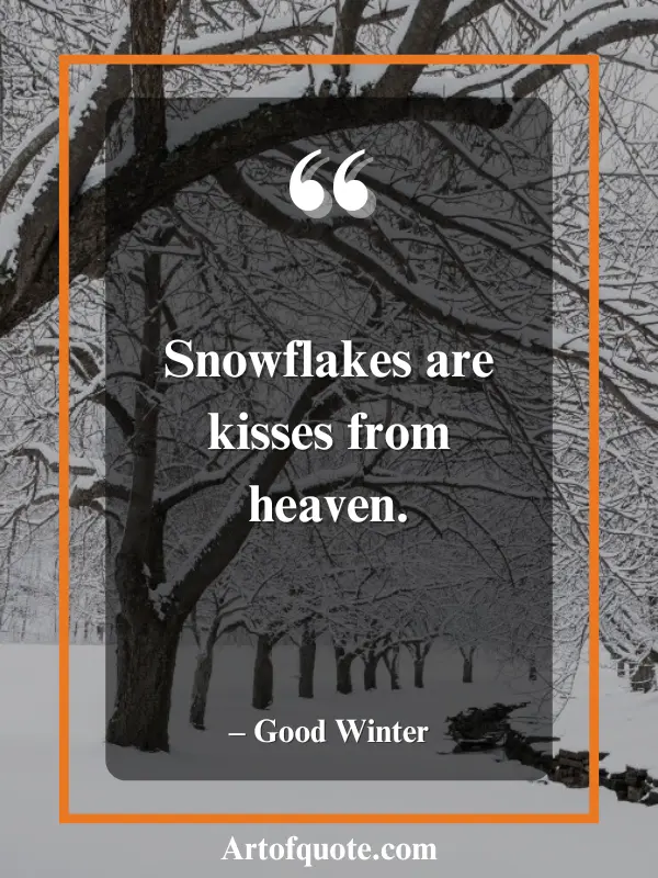 snowflakes kisses