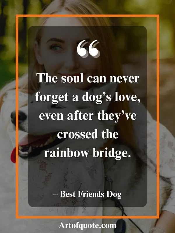 soul remembers a dog's love