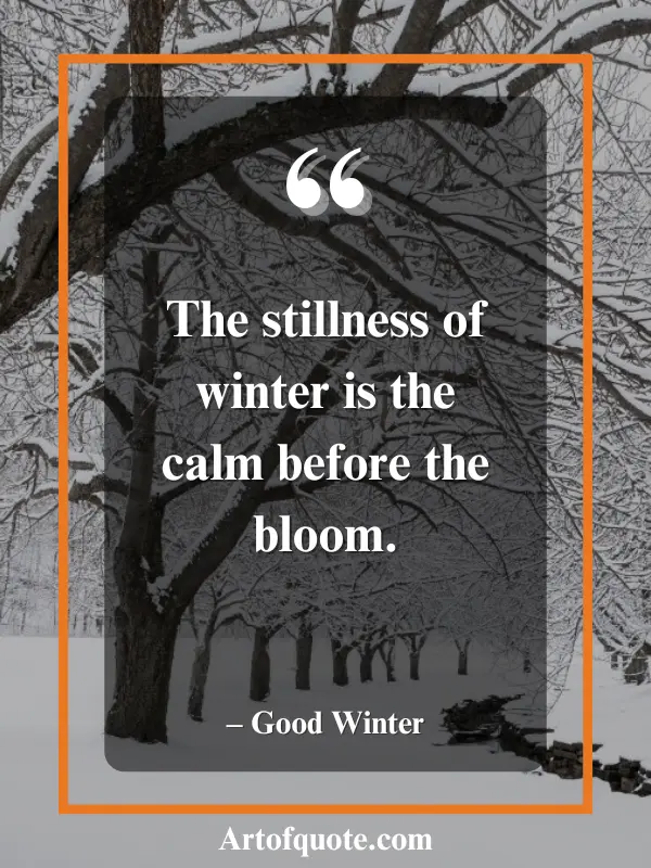 stillness of winter before bloom