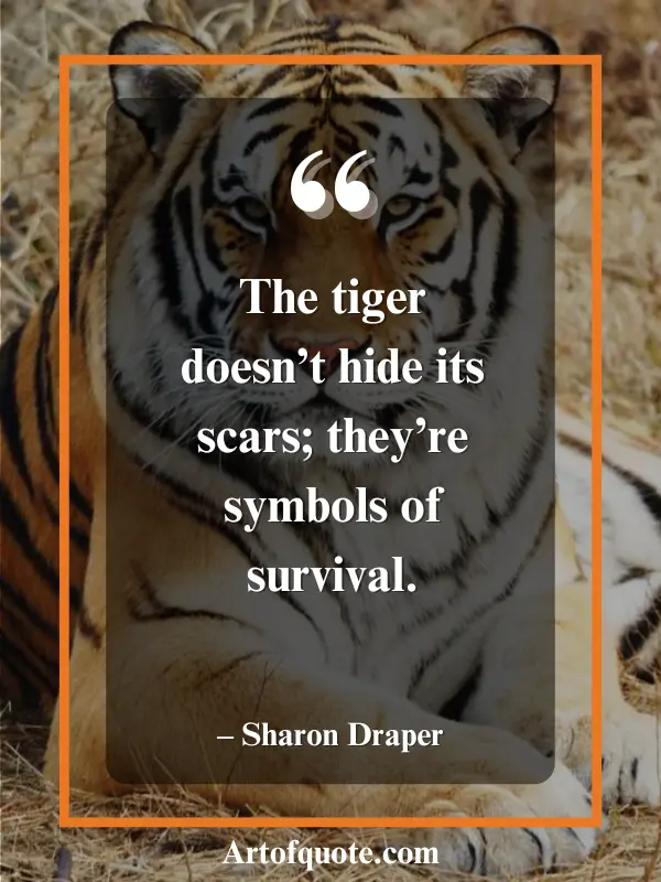 tiger scars symbols of survival