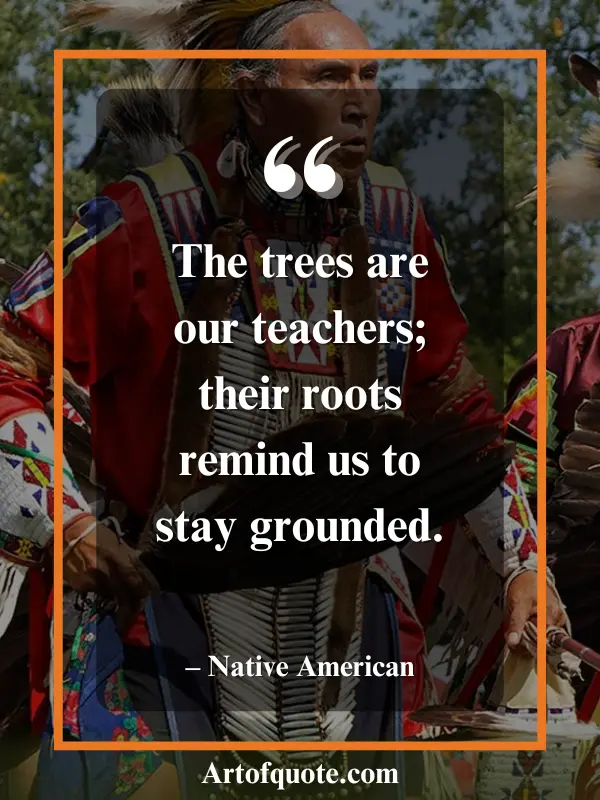 trees teach us grounding