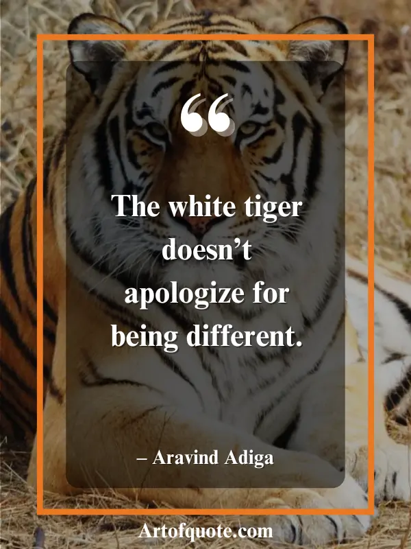 white tiger no apologies