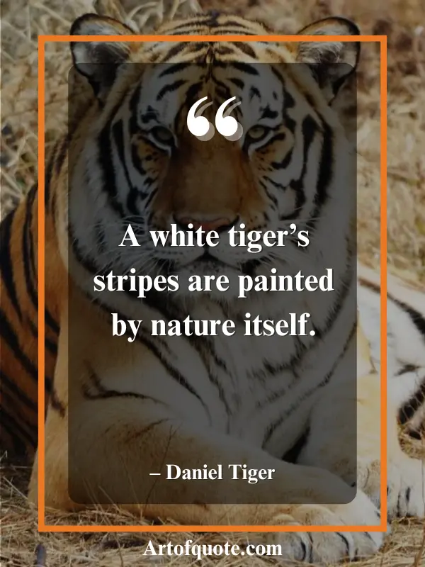 white tiger stripes nature