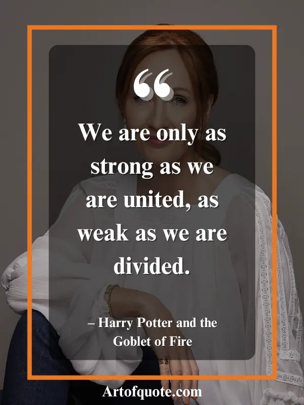 strength in unity, weakness in division