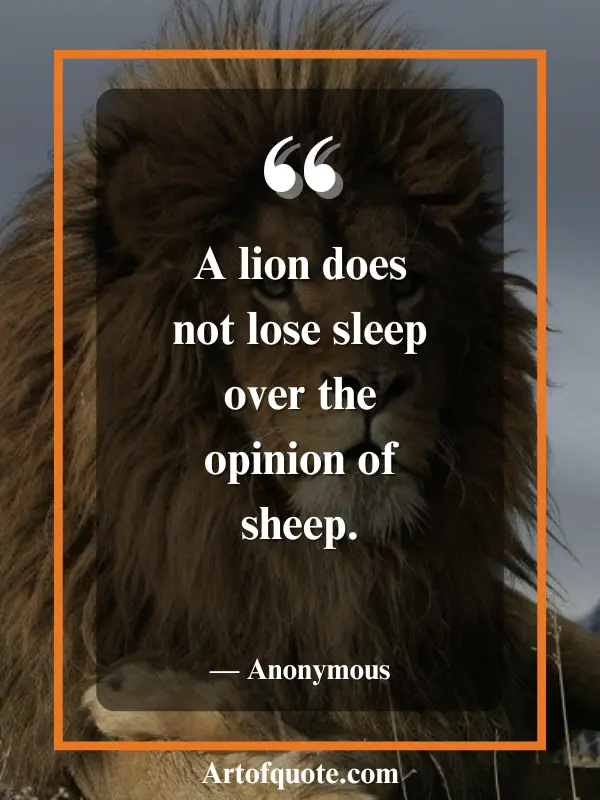 lion ignores sheep's opinion